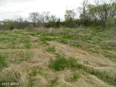 0 Ira Hoffman Ln unit 1002937986, Culpeper, VA 22701 - photo 3