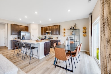 12135 Kelsey Dr, Huntley, IL 60142 - photo 6