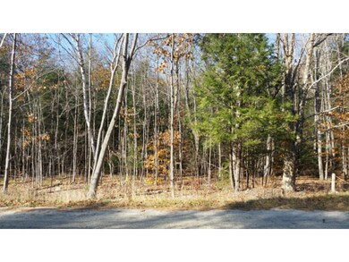 462 Nh Route 118, Warren, NH 03279 - photo 2