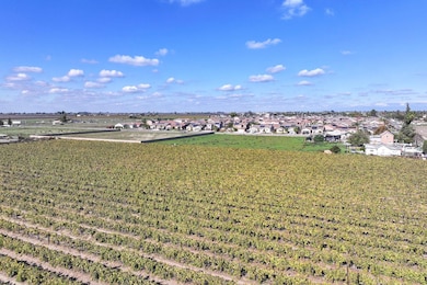 12615 S Mitchell Ave, Selma, CA 93662 - photo 3