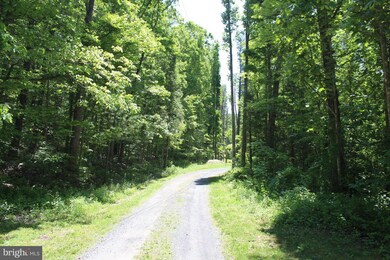 3619 Dry Run Rd, Luray, VA 22835 - photo 5