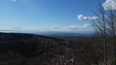 L1L2 Canyon Rd, Anchorage, AK 99516 - photo 2