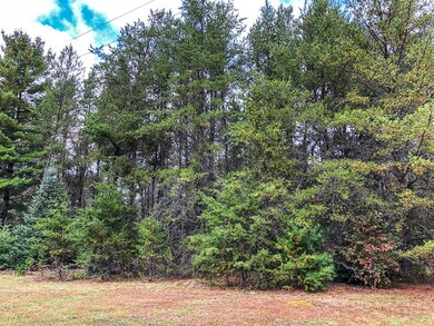 W8603 Wauwatosa Ave, Tomahawk, WI 54487 - photo 6