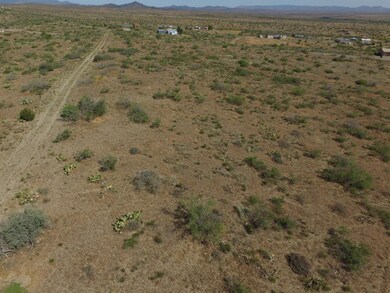 DJI_0456