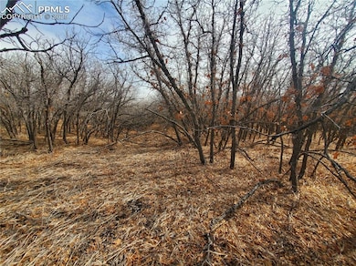 View of local wilderness