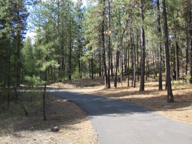 X E Emily Ln, Spokane, WA 99208 - photo 4