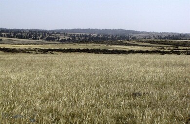 Lindstrom Rd, Shepherd, MT 59079 - photo 4