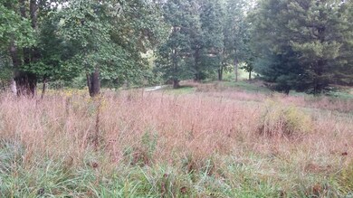 20150910_084423 (800x450)