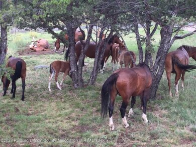 Enchanted Forest visitors
