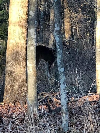 0000 E Kirk St, Hugo, OK 74743 - photo 5