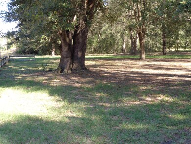 310 Scott Ave, Interlachen, FL 32148 - photo 4