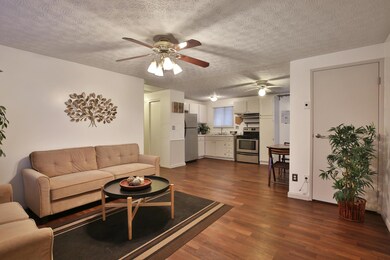 Living room with ceiling fan