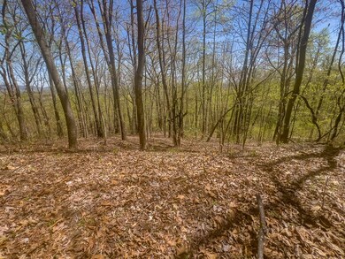 TBD Yellow Locust Dr, Fancy Gap, VA 24328 - photo 6