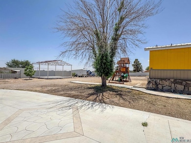 2411 Socorro Rd, Carlsbad, NM 88220 - photo 4