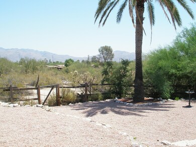 View from the Patio