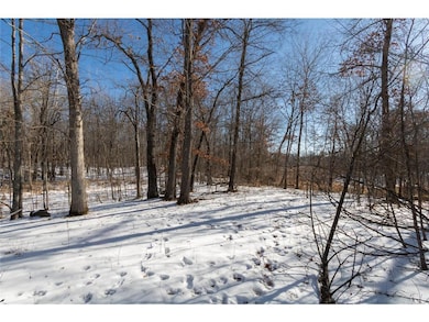 Lot 12 133rd St, Balsam Lake, WI 54001 - photo 3