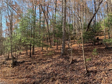 TBD (Lot 1) Dugger Firetower Rd, Lenoir, NC 22864 - photo 2