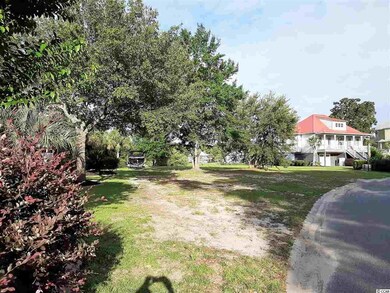 174 Hawks Nest Cir unit Lot 19 Wachesaw Palm, Murrells Inlet, SC 29576 - photo 4