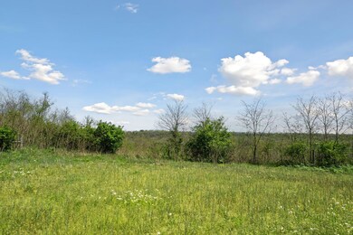 25-web-or-mls-DJI_0251