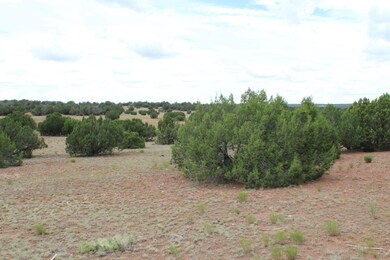 9112 Texas Lane Pfiffer (6)
