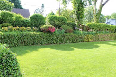 backyard 2