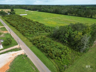 03 Northgate Dr, Atmore, AL 36502 - photo 6