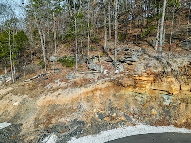 Lot 7 Blisslake Ln, Rogers, AR 72756 - photo 7