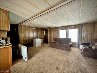 Carpeted living area featuring wood walls