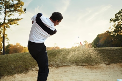 4 Bellerive Knoll, Birmingham, AL 35242 - photo 3