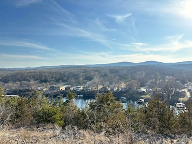 3855 Fall Creek Rd, Branson, MO 65616 - photo 4