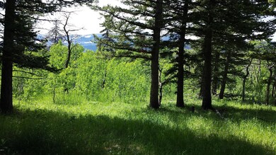 0 Us Highway 89 unit 328205, Saint Mary, MT 59401 - photo 2