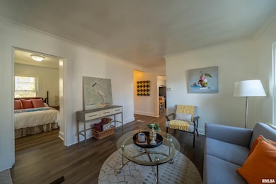 729 E Seneca Place, Peoria, IL 61603 - photo 7