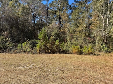 2199 Tom Crawford Rd, Hilliard, FL 32046 - photo 4