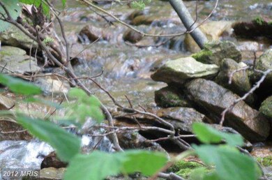 22423 Cold Spring Rd, Smithsburg, MD 21783 - photo 7