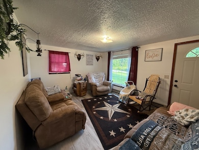 13067 Johnson Mill Rd, Crofton, KY 42217 - photo 4