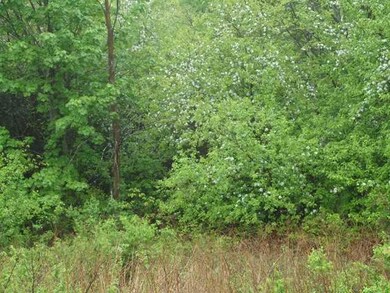 Land/Lot.