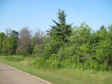 Lot 2 11th Ave, Arkdale, WI 54613 - photo 3