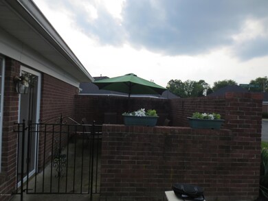 8424 Elsie Ct unit 8424, Louisville, KY 40228 - photo 4