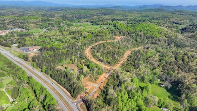 LOT 11 Greenfield Rd, Morganton, GA 30560 - photo 3