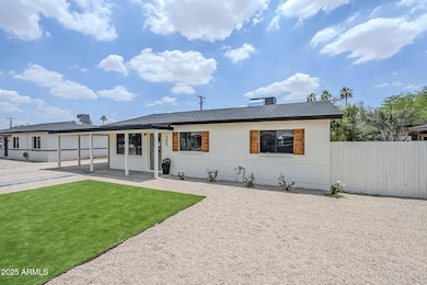 32-web-or-mls-Palm-32