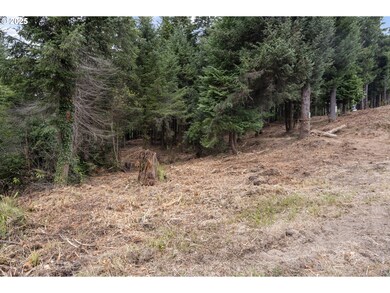 0 Newmark St unit 23622120, North Bend, OR 97459 - photo 6