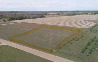 Lot 3, Block 2 Bear Path, Hudson Township, MN 56308 - photo 4