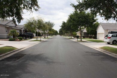 5 Tree Lined Streets