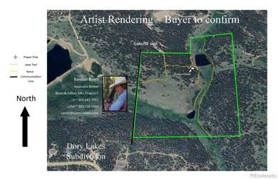 50 Rudolph Ranch Rd, Black Hawk, CO 80422 - photo 3