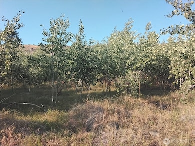 4 Painted Rock Rd, Tonasket, WA 98855 - photo 2