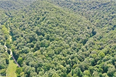 0002 Broomstick Rd, Big Bend, WV 26136 - photo 6