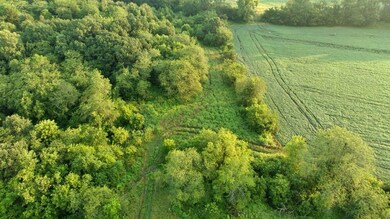 Hazel Rd, Newtown, MO 64667 - photo 6