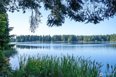 10715 108th St, Anderson Island, WA 98303 - photo 6