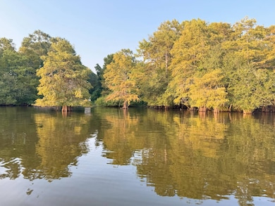 0 Timberland unit 11542662, Many, LA 71449 - photo 3