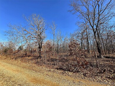 95001 S 4556 Rd, Vian, OK 74962 - photo 7